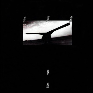 欧洲老头操美国黑寡妇
